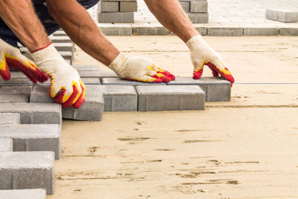Reasons to Select Us for Your Driveway Paving Requirements in Lake Catherine, IL