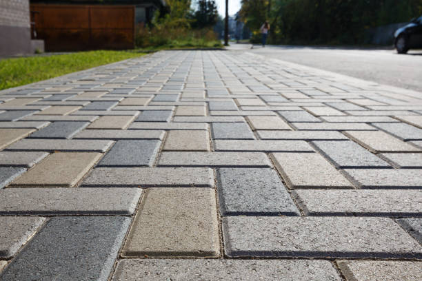 Best Local Driveway Pavers  in Lake Catherine, IL